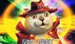 第五人格最新爆料卢卡,第五人格新角色揭秘，神秘背景与独特技能引玩家期待