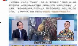 台湾爆料视频大全最新,热点事件背后的真相与争议