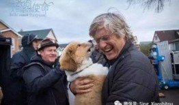 一条狗的使命3爆料视频,狗狗守护使命，感人故事再续篇章