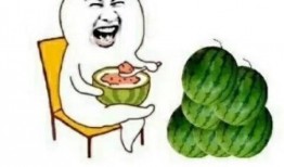 娱乐吃瓜铺,吃瓜群众背后的故事