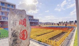 台州学院爆料新闻最新情况,校园事件引发社会关注