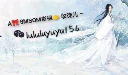 寄住姐妹在线观看,揭秘现代都市姐妹情的温暖与挑战