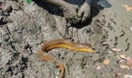 爆料乡村小哥视频