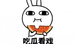 娱乐吃瓜酱讲腋窝饭团,腋窝饭团背后的趣味故事