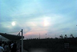 武汉太阳爆料最新消息