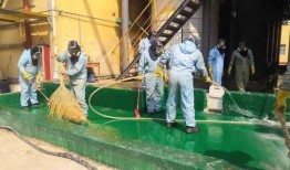 河北邢台宁晋县新闻爆料,聚焦当地热点事件与民生动态