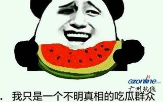 网上吃瓜什么意思,揭秘“吃瓜”背后的网络文化现象