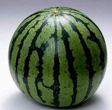 吃瓜群是什么群,网络社交新现象背后的故事