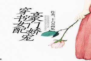 穿书全娱乐吃瓜的小说,全娱乐吃瓜日常