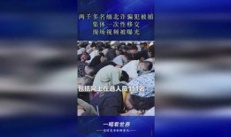 缅北诈骗犯爆料视频最新,最新爆料视频曝光惊人真相
