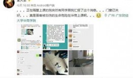 网安爆料伤人视频,揭秘网络暴力背后的黑暗真相