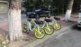 电动共享单车爆料视频播放,行业乱象与用户权益受损