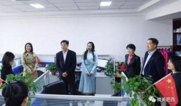肥西县今天爆料新闻事件,惊现神秘事件引发社会关注