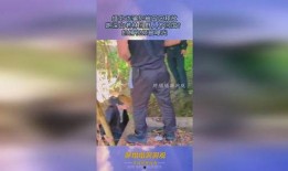 缅北诈骗犯爆料视频最新,最新爆料视频曝光惊人真相