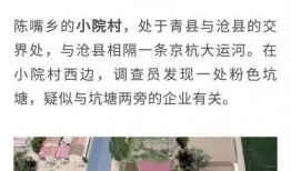 天津视频爆料人被抓事件,真相与争议交织