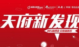 成都十周年爆料新闻事件,揭秘重大新闻事件背后的故事