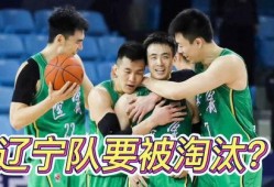 辽宁队最新爆料,揭秘球队备战新赛季的神秘计划