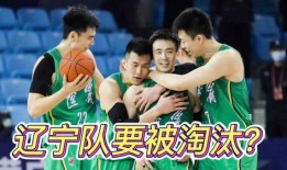 辽宁队最新爆料,揭秘球队备战新赛季的神秘计划